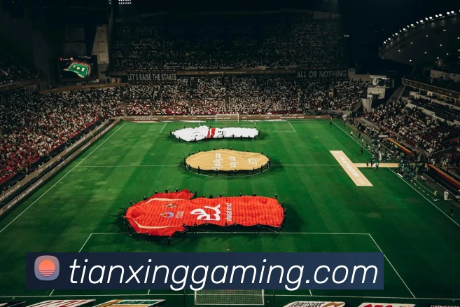 天行电竞官网平台生态图